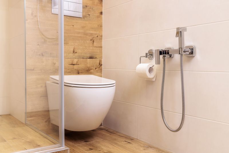Modern Toilet Setup
